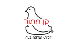 קו התור